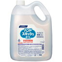 花王　ハンドスキッシュEX　手指消毒剤　つめかえ用　4．5L