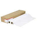 【お取寄せ品】 キヤノン プレミアム普通紙 A3 297mm×50m LFM−PPP/A3/80 8154A022 1箱(2本) 【送料無料】