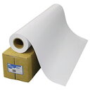 【お取寄せ品】 TANOSEE スタンダード・フォト光沢紙(紙ベース) 42インチロール 1067mm×30m 1本 【送料無料】(3)