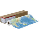 キヤノン 厚口コート紙HG LFM−CPH/A0/145 A0ロール 841mm×30.5m 8961B005 1本 【送料無料】