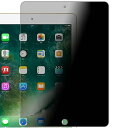 光興業 覗き見防止フィルター TLNW N8 iPad10.2型用 全面吸着式 TLN−ZE4 IPAD102 1枚 【送料無料】