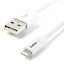 apple lightning usbの画像
