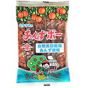 ●天日乾燥あんず果肉使用。昭和の懐かしい駄菓子です。●賞味期限／商品の発送時点で、賞味期限まで残り120日以上の商品をお届けします。●1パック＝5本※メーカー都合により、パッケージデザインおよび仕様が変更になる場合がございます。●メーカー／...