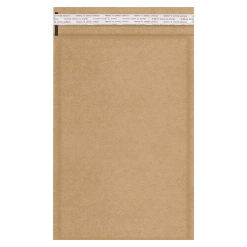 カクケイ　エコクッション封筒　CD・DVD2枚用　FK0408　1ケース（100枚） 【送料無料】