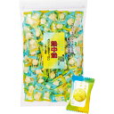 井関食品 熱中飴 レモン塩味 1kg 1パック