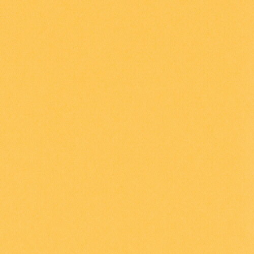 【お取寄せ品】 リンテック　ニューカラーR　四つ切　みかん　4NCR−237　1パック（100枚）