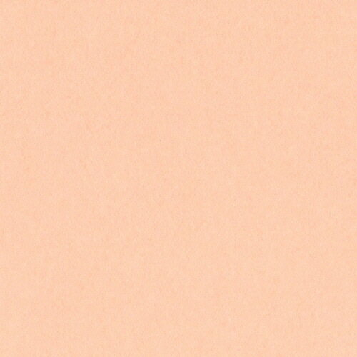 【お取寄せ品】 リンテック　ニューカラーR　八つ切　うすだいだい　8NCR−103　1パック（100枚）