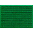 クリーンテックス・ジャパン 吸水速乾玄関マット ウォーターホースT 440×740mm グリーン AC00024 1枚 【送料無料】(3)