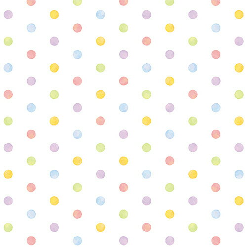 ڤʡ 桡եɥåȡȾȽ49−11691ѥå50 ̵