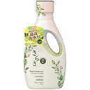 【お取寄せ品】 P&G さらさ 洗剤 ジェル 本体 670g 1本(3)