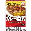 江崎グリコ　カレー職人　ビーフカ