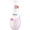 【お取寄せ品】 ユニリーバ ダヴ クリアリニュー クリーミー泡洗顔料 本体 150ml 1本