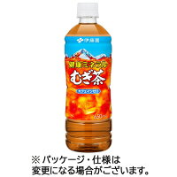 伊藤園　健康ミネラルむぎ茶　６５０ｍｌ　ペットボトル　１セット（４８本：２４本&times;２ケース） 