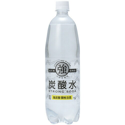 友桝飲料 強炭酸水 1L ペットボトル 1ケース(15本)