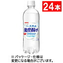 サンガリア 伊賀の天然水 強炭酸水 500ml ペットボトル 1ケース 24本 