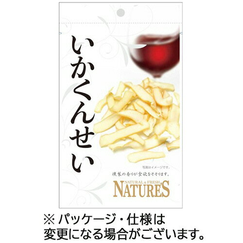 山栄食品工業　ネイチャーズ　いかくんせい　20g　1パック