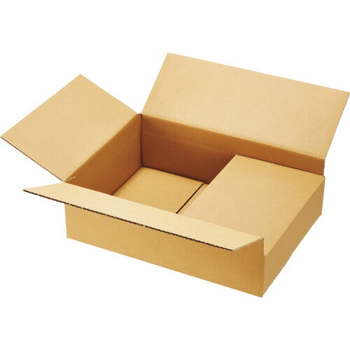 TANOSEE̵ϥܡȢA4Bե롼ȡ⤵Ĵס1ѥå20