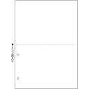 TANOSEE マルチプリンタ帳票(スーパーエコノミー) A4 白紙 2面 2穴 1セット(2500枚:100枚×25冊) 【送料無料】