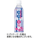 宮崎県農協果汁 サンA 満潮の塩梅 490mL ペットボトル 1ケース(24本) 【送料無料】