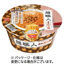 日清食品 日清麺職人 担々麺 100g 1ケース（12食）