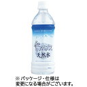 日本ミネラルウォーター 雪アルプス天然水 500ml ペットボトル 1セット(24本)