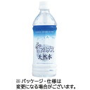 日本ミネラルウォーター 雪アルプス天然水 500ml ペットボトル 1セット（24本）