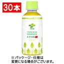 伊藤園 緑茶 お茶体験 ITOEN OCHA EXPERIENCE 200ml ペットボトル 1ケース（30本）