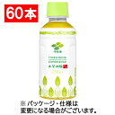 伊藤園 緑茶 お茶体験 ITOEN OCHA EXPERIENCE 200ml ペットボトル 1セット（60本：30本×2ケース） 【送料無料】