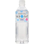 ロジネットジャパン　北海道大雪山ゆきのみず　550ml　ペットボトル　1セット（96本：24本×4ケース） 【送料無料】