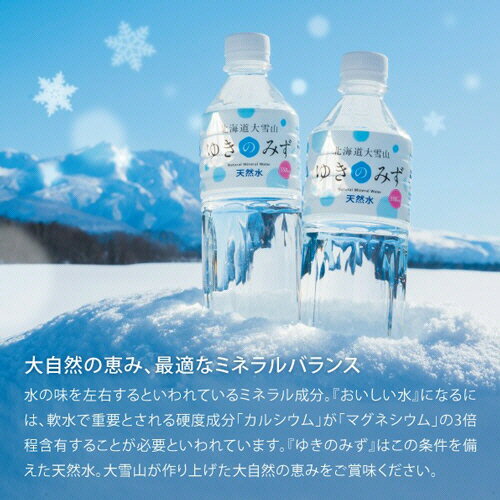 ロジネットジャパン　北海道大雪山ゆきのみず　550ml　ペットボトル　1セット（96本：24本×4ケース） 【送料無料】 3