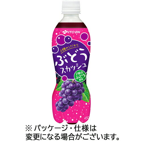 【お取寄せ品】 伊藤園　ぶどうスカッシュ　450ml　ペットボトル　1ケース（24本） 【送料無料】