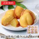 【送料無料】JAL国内線ファーストクラス機内食に採用!岡山清水白桃ケーキ9個入り 岡山清水白桃&津山産小麦使用 お歳暮 御歳暮 ギフト お菓子 スイーツ 洋菓子 手土産 個包装 内祝い 焼き菓子 お祝い お返し お取り寄せ