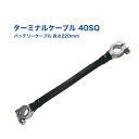 バッテリー ターミナルケーブル 40SQ DC12V直列接続 長さ220mm D型端子(+−表示あり)