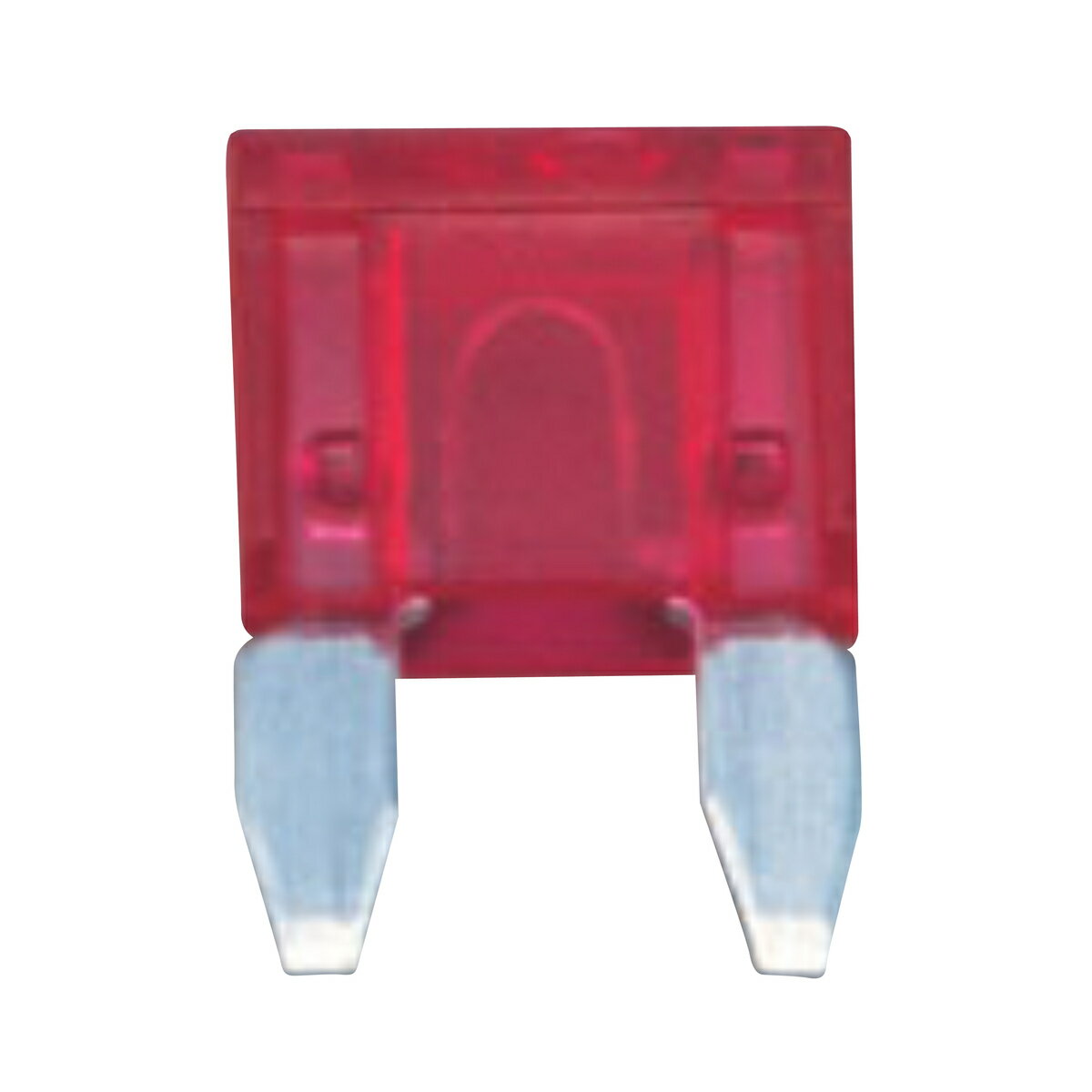 ミニヒューズ 10A 10個セット 赤 DC12/24V兼用 自動車用 11×16mm 自動車用 交換 予備 電装 小型 小さい
