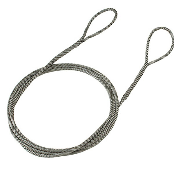 Rakuten - ワイヤー 台付 両サツマ加工 φ18mm×5m 1本入 トラック用 ロープ