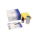 【1日限定ポイント3倍!】ボディーコーティング剤 15ml スポンジ/マイクロファイバークロス付 光沢 防汚 耐久性 洗車