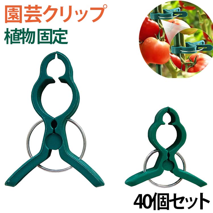 植物の成長を助ける園芸用の誘引クリップ。高品質の環境に優しいプラスチック素材で作られており、壊れにくく、変形せず、、高温耐性があり、繰り返し使用することができます。植物の茎や蔓を支柱やロープに固定するのがとても簡単で、防水、防錆、悪天候でもしっかり固定できます。花だけでなく、あらゆる種類の植物、野菜、トマト、豆類にも最適なサポートクリップです。 サイズ 小 大 サイズについての説明 サイズ：A(小：4.5*3cm/大：4.5*6cm) B(小：3.5*4cm/大：5.5*8cm) ※測定方法によって誤差が生じますので、予めご了承下さい。 素材 PP 色 A(40個セット) B(40個セット) 備考 ●サイズ詳細等の測り方はスタッフ間で統一、徹底はしておりますが、実寸は商品によって若干の誤差(1cm～3cm )がある場合がございますので、予めご了承ください。 ●製造ロットにより、細部形状の違いや、同色でも色味に多少の誤差が生じます。 ●パッケージは改良のため予告なく仕様を変更する場合があります。 ▼商品の色は、撮影時の光や、お客様のモニターの色具合などにより、実際の商品と異なる場合がございます。あらかじめ、ご了承ください。 ▼生地の特性上、やや匂いが強く感じられるものもございます。数日のご使用や陰干しなどで気になる匂いはほとんど感じられなくなります。 ▼同じ商品でも生産時期により形やサイズ、カラーに多少の誤差が生じる場合もございます。 ▼他店舗でも在庫を共有して販売をしている為、受注後欠品となる場合もございます。予め、ご了承お願い申し上げます。 ▼出荷前に全て検品を行っておりますが、万が一商品に不具合があった場合は、お問い合わせフォームまたはメールよりご連絡頂けます様お願い申し上げます。速やかに対応致しますのでご安心ください。