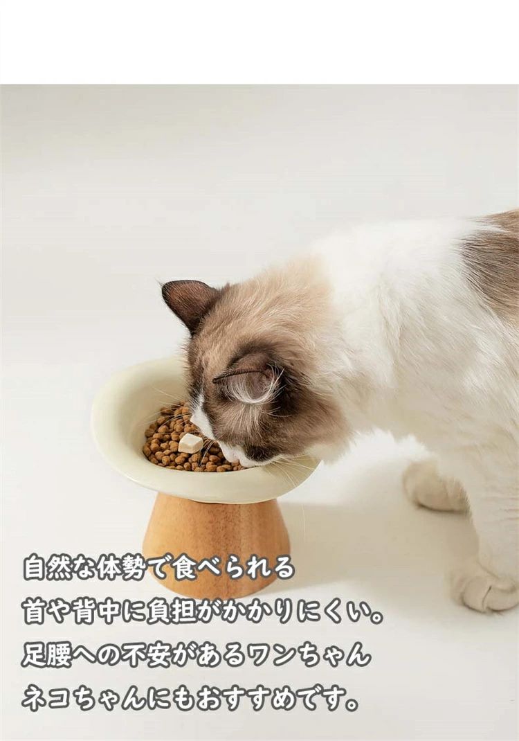 ご飯皿 セラミック ペット食器 おしゃれ ペット用 水分補給 ネコ 小型犬 可愛い 雑貨 ボウル ねこ 負担軽減 犬猫 犬用 送料無料