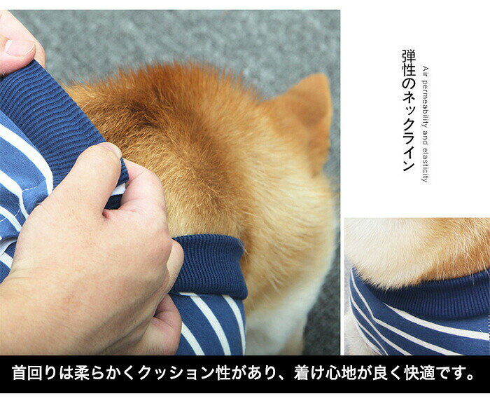 犬 猫 術後服 術後ウェア 服 傷 舐めない 傷口保護 エリザベスカラー h0312