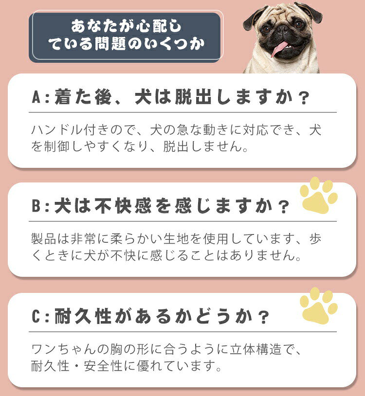 サンプル画像3
