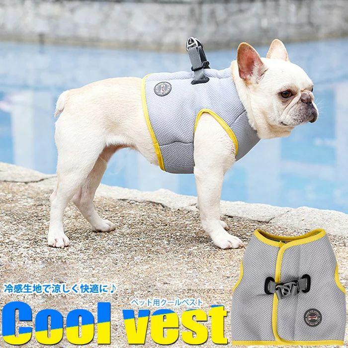 �� �ϡ��ͥ� ������٥��� ��ѥ٥��� �䴶�٥��� �ڥå� �� ƹ�� �ɥå� ��å���