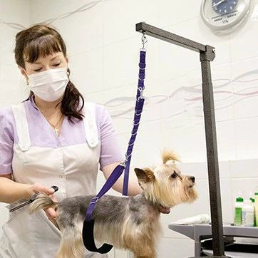 保養用品 - 3点セット 犬 グルーミング キット ペット グルーミング ループ 調整可能 犬 グルーミング スト 犬 送料無料