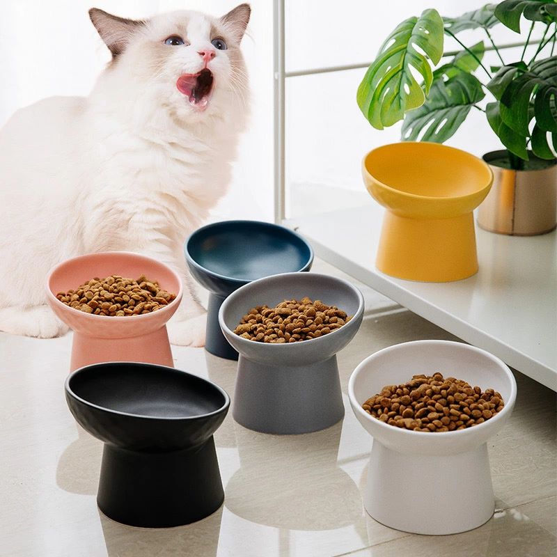 樂天商城 - セラミックペット用高脚ボウル 猫用 ドッグ用 こぼれ防止 ペット用食器