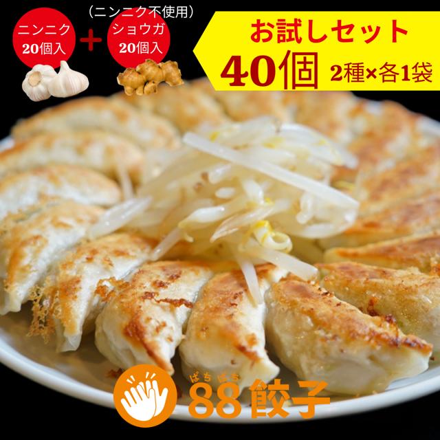 楽天88ぱちぱち餃子楽天市場店【88ぱちぱち餃子お試しセット】 40個 にんにくあり20個 にんにくなし20個 冷凍餃子 焼き餃子 水餃子 おかず おつまみ 餃子 国産材料 ぎょうざ 中華 大将 食べ比べ お取り寄せ 浜松餃子 はままつ餃子