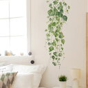 ウォールステッカー アイビー つる 観葉植物 ボタニカル グリーン 葉っぱ 壁シール 壁デコ 北欧風 DIY リビング