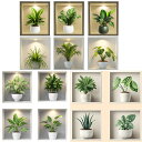 ウォールステッカー だまし絵 多肉植物 観葉植物 展示ケース入り 壁の穴 リーフ グリーン トリックアート 壁デコ 北欧風 DIY リビング 寝室