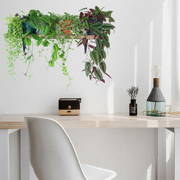 ウォールステッカー 観葉植物 棚 ガーデンラック トリックアート インテリアシール 壁デコレーション ..