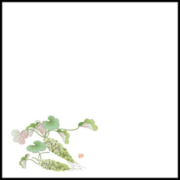 【バラ販売】天ぷら敷紙　耐油天紙　4寸　わさび（5～7月）（1袋/100枚入）【規格内容】幅120×長さ120mm