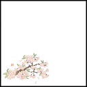 【バラ販売】天ぷら敷紙 耐油天紙 5寸 山桜(3~4月)(1袋/100枚入)【規格内容】幅150×長さ150mm