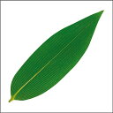 【バラ販売】グルメシート熊笹 抜き(1箱/500枚入)【規格内容】幅55×長さ190mm